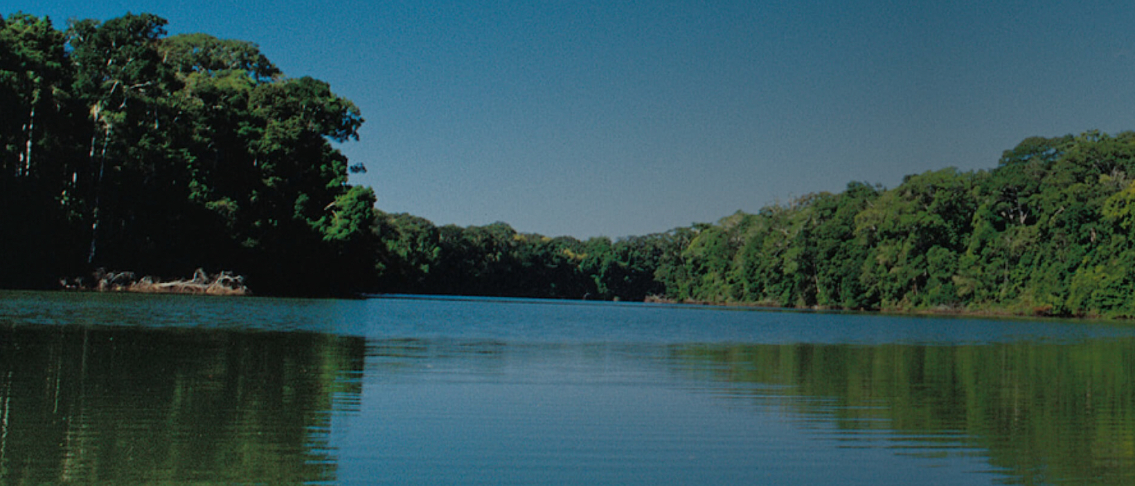 Excellence with CO₂ emissions offset