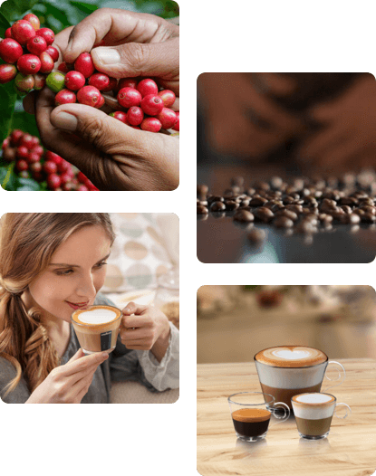 ¡Tierra! for Planet